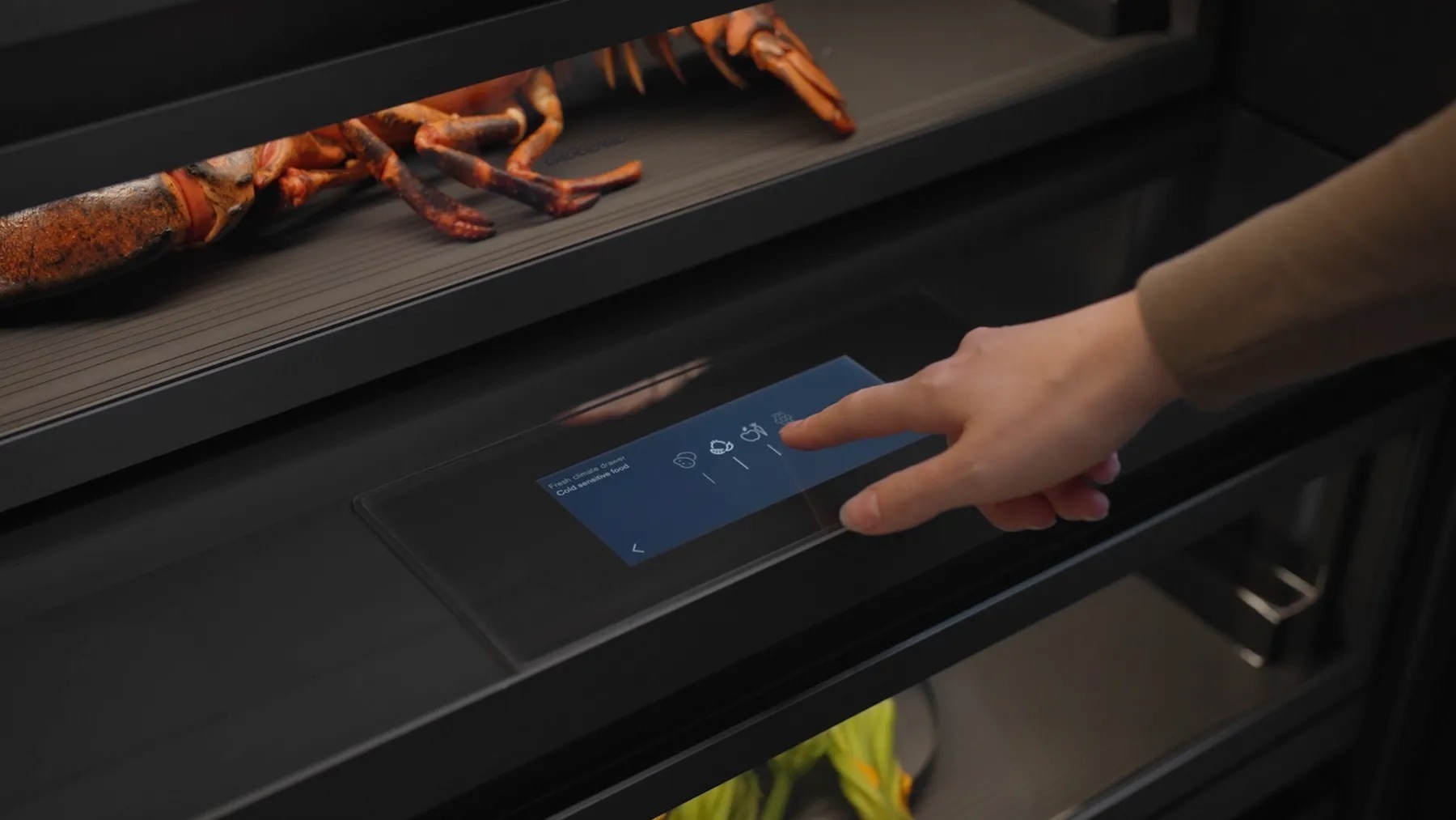 Gaggenau Koelkast